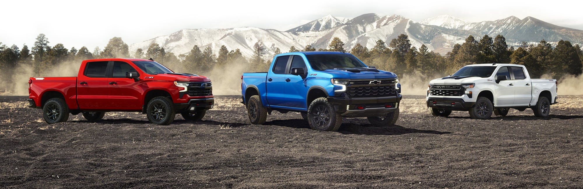 Harvey Automotive Group SPLASH